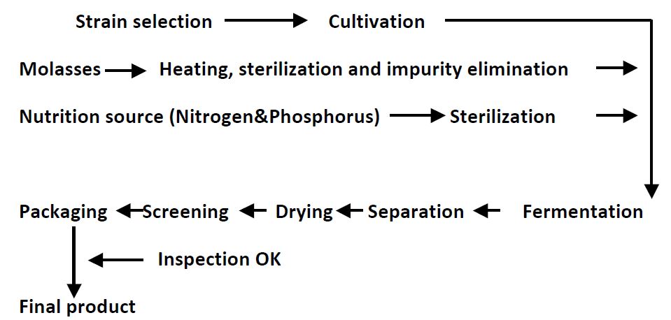 Process of Nutritional Yeast