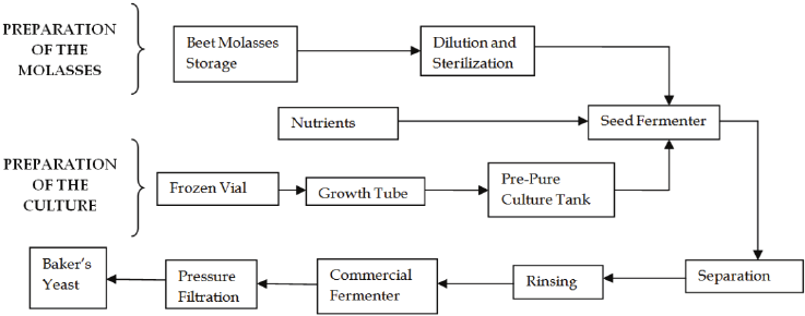 Process Flow Diagram for a Bakers Yeast Industry