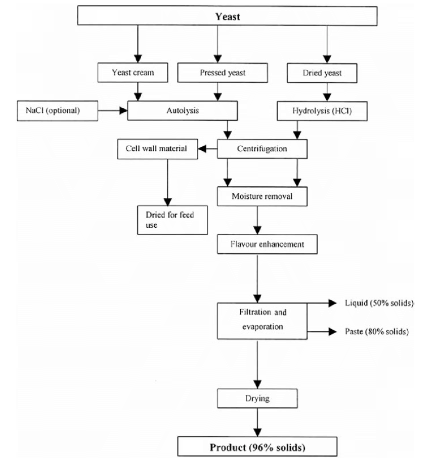 Yeast Extract Manufacturing Process